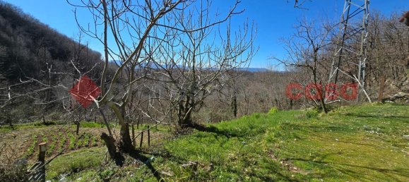 Terreno en Rieti, Italy 15000 m² No. 173266 8