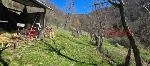 Terreno en Rieti, Italy 15000 m² No. 173266 6