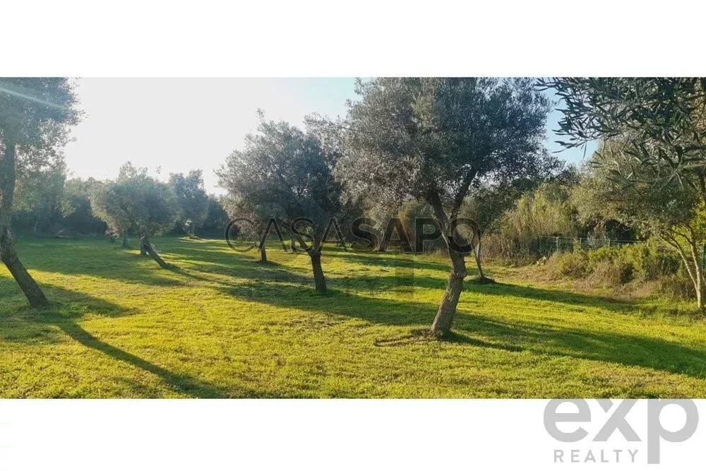 Земельный участок 122м² в Ольян, Португалия № 218328