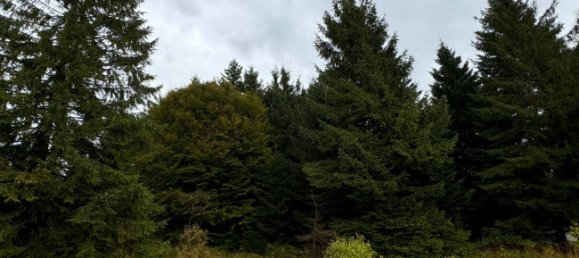 1 bedroom Apartment in Frabosa Sottana, Italy No. 102077 36