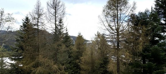 1 bedroom Apartment in Frabosa Sottana, Italy No. 102077 22