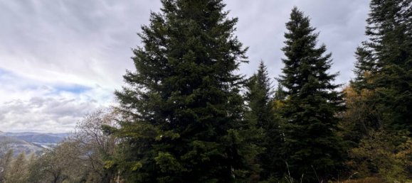 1 bedroom Apartment in Frabosa Sottana, Italy No. 102077 37