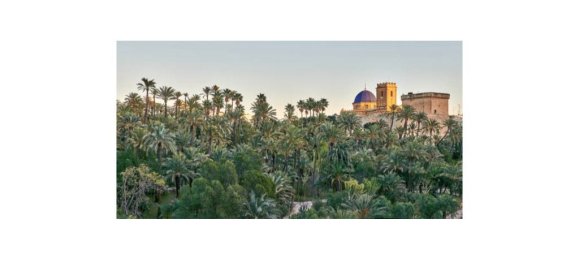 7 Schlafzimmer Wohnung in Alicante, Spain, Nr. 146008 32