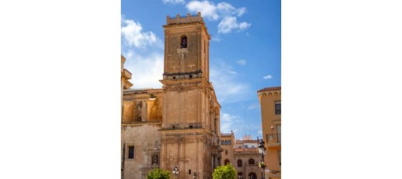 7 Schlafzimmer Wohnung in Alicante, Spain, Nr. 146008 33