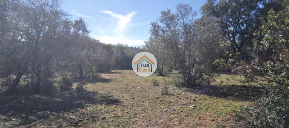 Terrain à Sao Bras de Alportel, Portugal 16500m² No. 76029 15