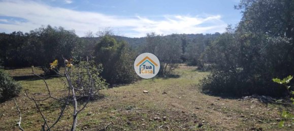 Terrain à Sao Bras de Alportel, Portugal 16500m² No. 76029 6