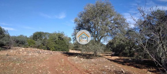 Terrain à Sao Bras de Alportel, Portugal 16500m² No. 76029 12