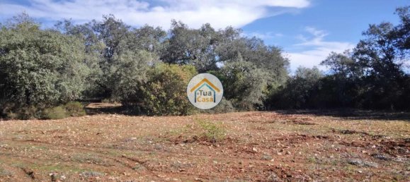 Terrain à Sao Bras de Alportel, Portugal 16500m² No. 76029 17