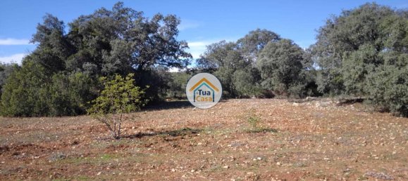 Terrain à Sao Bras de Alportel, Portugal 16500m² No. 76029 11