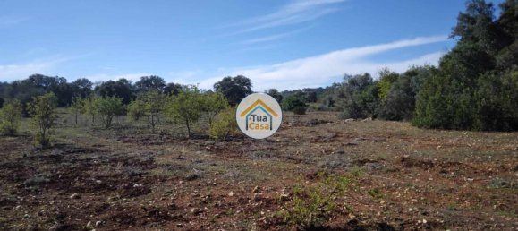 Terrain à Sao Bras de Alportel, Portugal 16500m² No. 76029 2