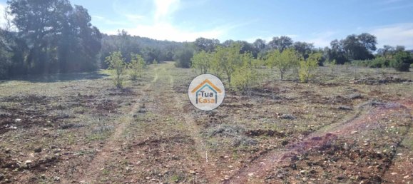 Terrain à Sao Bras de Alportel, Portugal 16500m² No. 76029 7