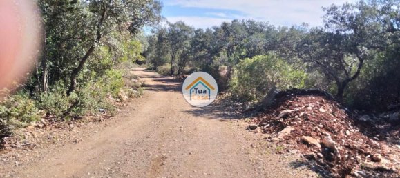 Terrain à Sao Bras de Alportel, Portugal 16500m² No. 76029 19