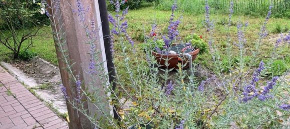 5 rooms House in Casalbuttano ed Uniti, Italy No. 275396 3