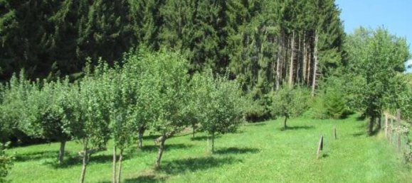 Земельный участок в Пассау, Германия № 152281 9