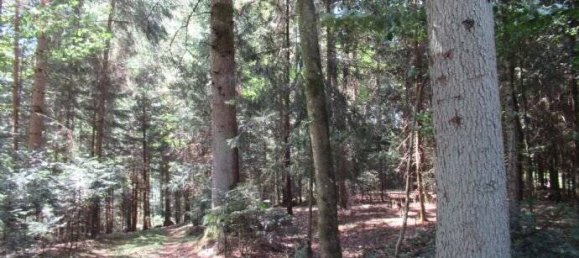 Земельный участок в Пассау, Германия № 152281 7