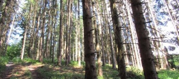 Земельный участок в Пассау, Германия № 152281 8