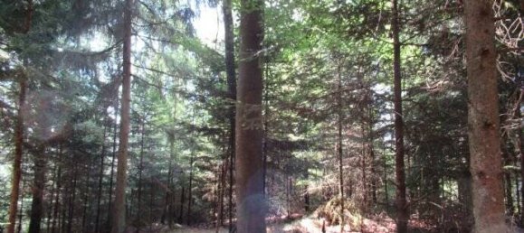 Земельный участок в Пассау, Германия № 152281 2