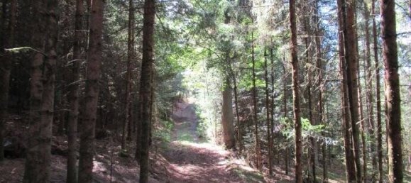 Земельный участок в Пассау, Германия № 152281 3