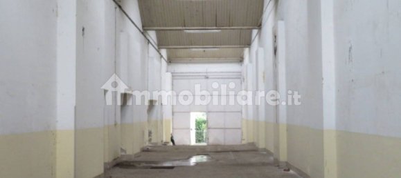 5 rooms House in Luserna San Giovanni, Italy No. 279013 12