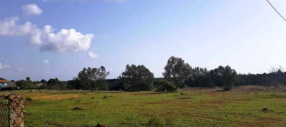 6467m² Land in Almancil, Portugal No. 145995 17