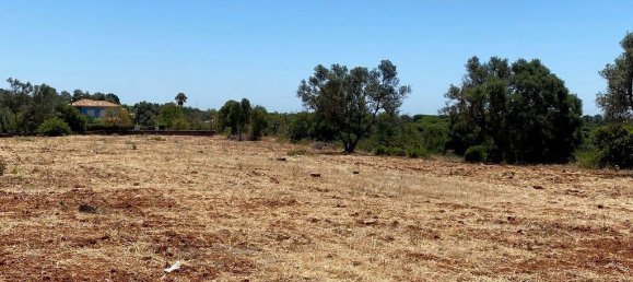 6467m² Land in Almancil, Portugal No. 145995 11