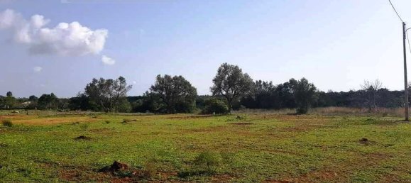 6467m² Land in Almancil, Portugal No. 145995 15