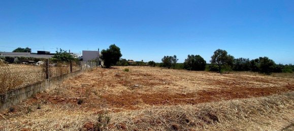 6467m² Land in Almancil, Portugal No. 145995 13