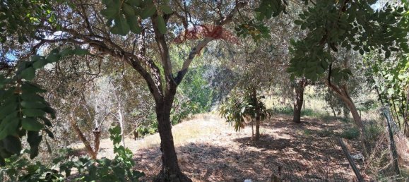 Terrain à Castelmola, Italy 1800m² No. 295053 19