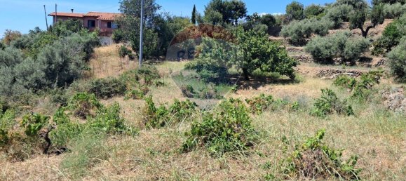 Terrain à Castelmola, Italy 1800m² No. 295053 15