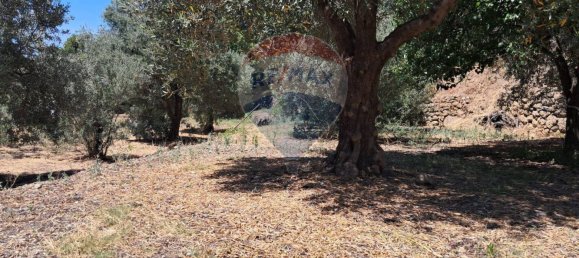 Terrain à Castelmola, Italy 1800m² No. 295053 17