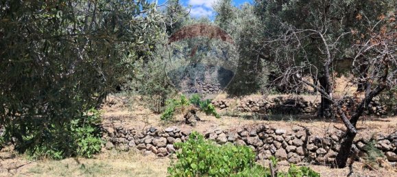 Terrain à Castelmola, Italy 1800m² No. 295053 13