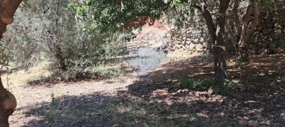 Terrain à Castelmola, Italy 1800m² No. 295053 11