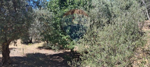 Terrain à Castelmola, Italy 1800m² No. 295053 18