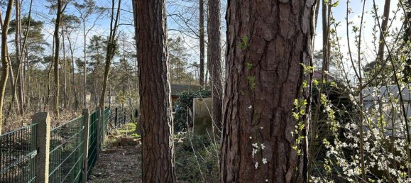 Земельный участок в Тельтов-Флеминг, Германия № 329640 3