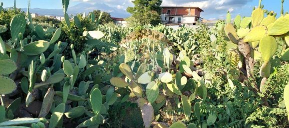 25699m² Land in Paterno, Italy No. 371783 9