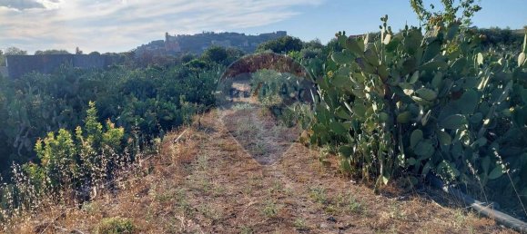 25699m² Land in Paterno, Italy No. 371783 17