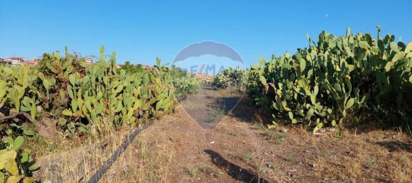 25699m² Land in Paterno, Italy No. 371783 2