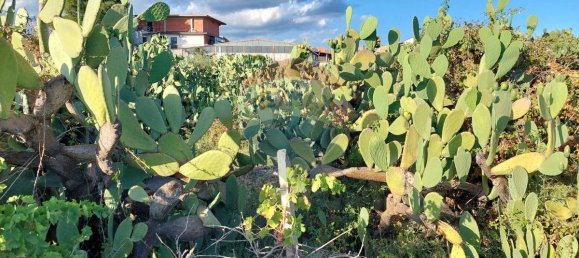 25699m² Land in Paterno, Italy No. 371783 7