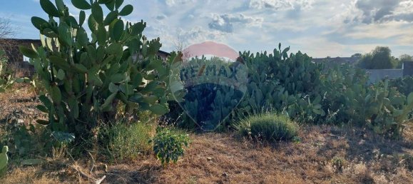 25699m² Land in Paterno, Italy No. 371783 20