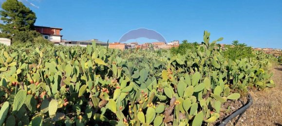 25699m² Land in Paterno, Italy No. 371783 16