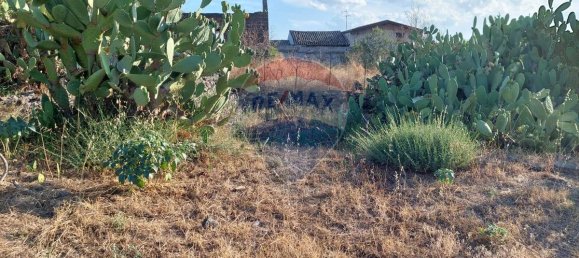 25699m² Land in Paterno, Italy No. 371783 19