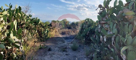 25699m² Land in Paterno, Italy No. 371783 8