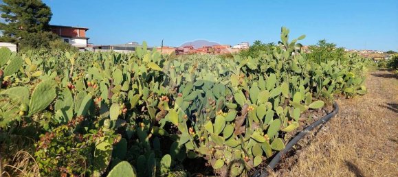 25699m² Land in Paterno, Italy No. 371783 15