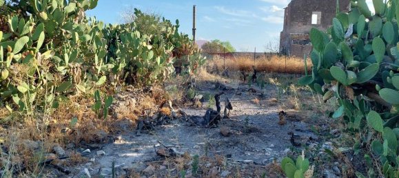 25699m² Land in Paterno, Italy No. 371783 13