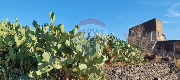 25699m² Land in Paterno, Italy No. 371783 18