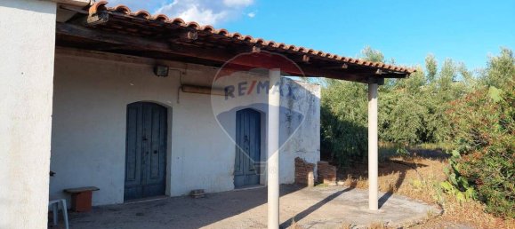 25699m² Land in Paterno, Italy No. 371783 5