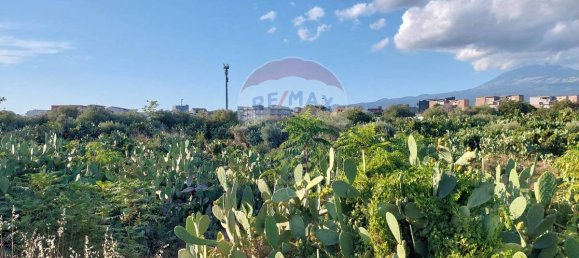 25699m² Land in Paterno, Italy No. 371783 21