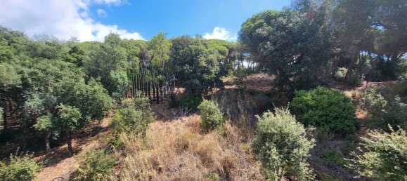 4 bedrooms House in Sant Pol de Mar, Spain No. 152454 35