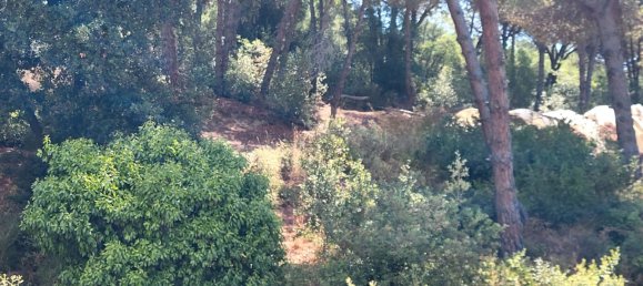 4 bedrooms House in Sant Pol de Mar, Spain No. 152454 33