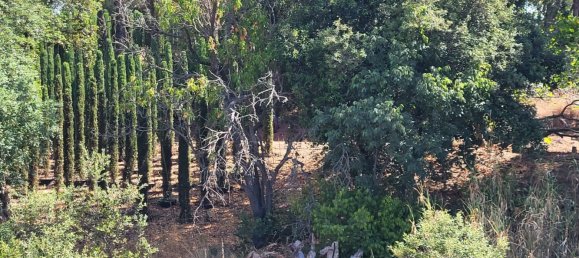 4 bedrooms House in Sant Pol de Mar, Spain No. 152454 34